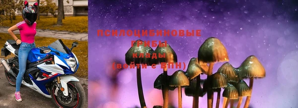 PSILOCYBIN Иннополис